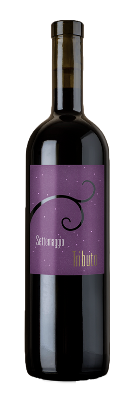 wiine Settemaggio_Tributo merlot