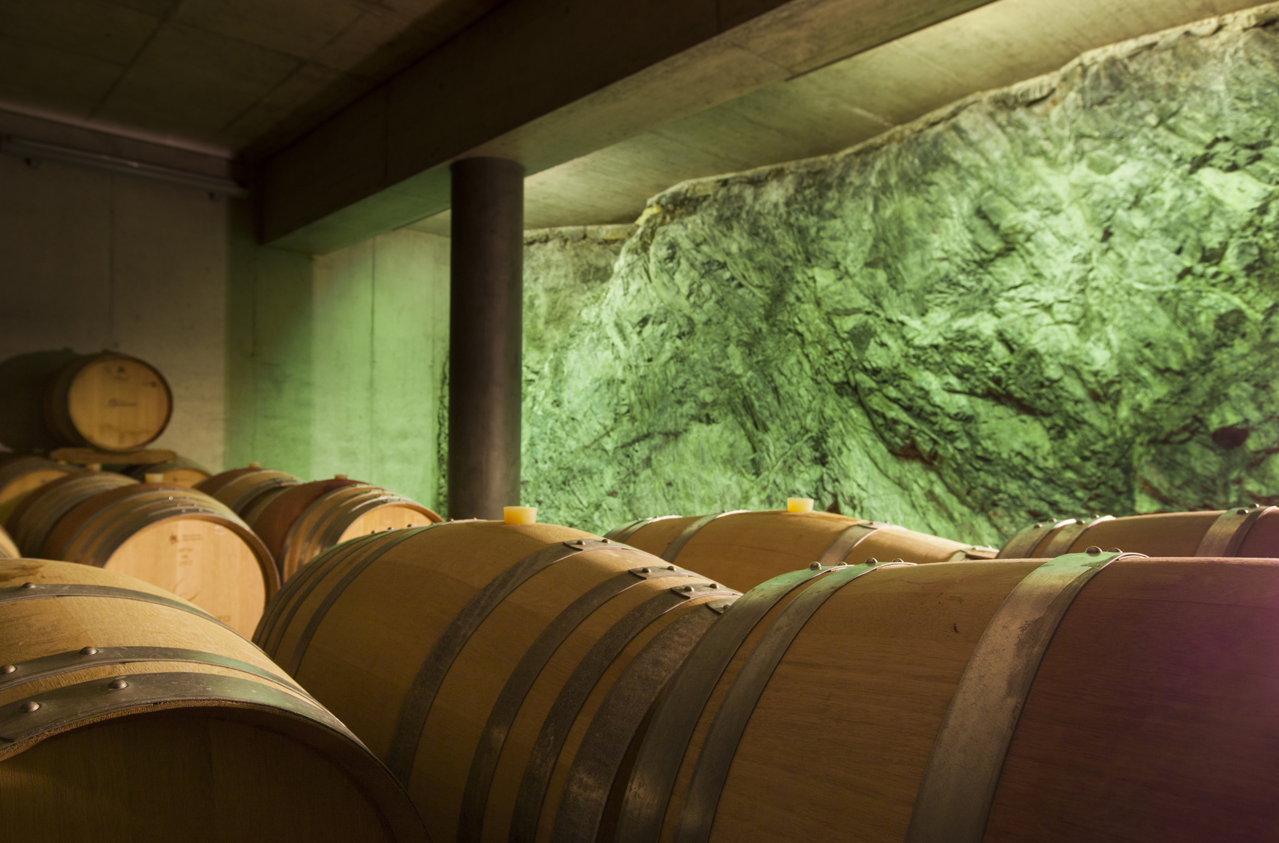 Fattoria_Moncuchetto barriques