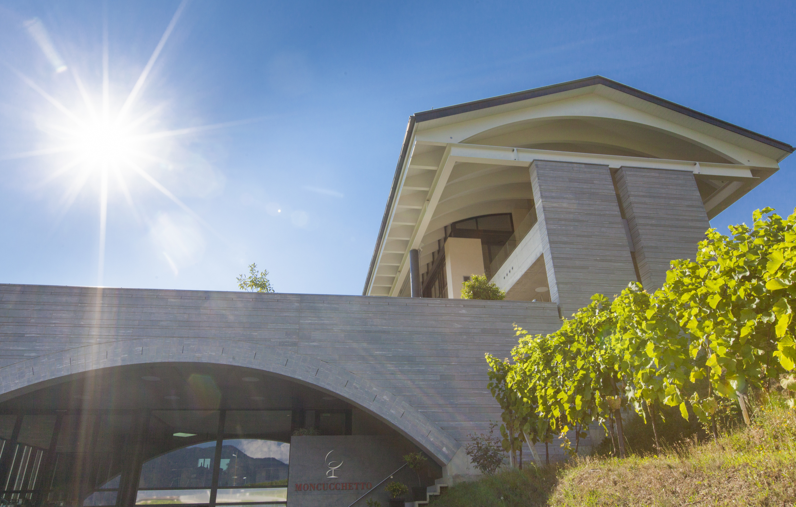 Fattoria Moncuchetto, Lugano mario botta