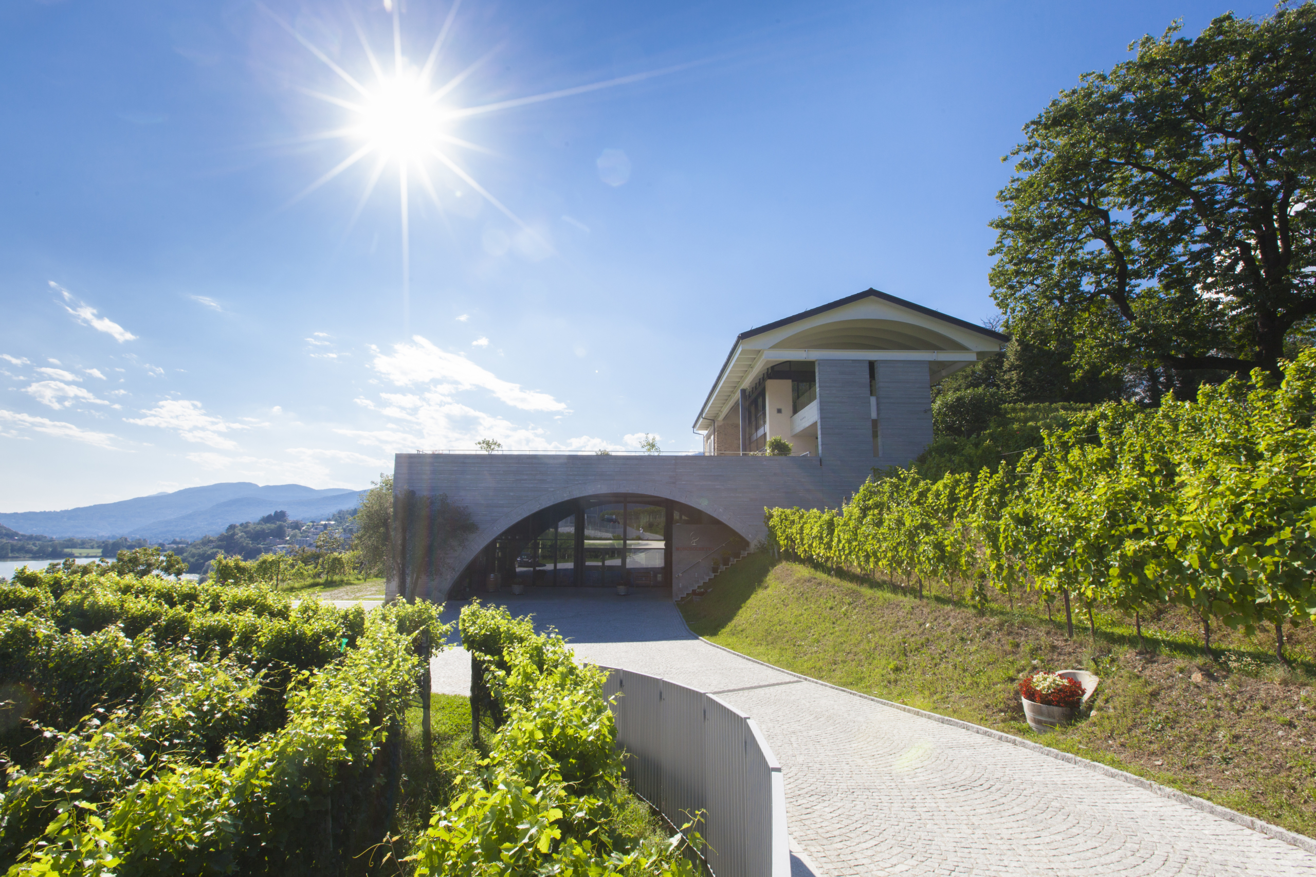 Fattoria Moncuchetto, Lugano mario botta