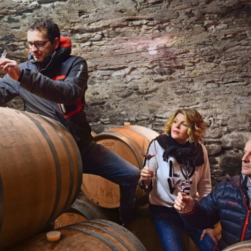 Settemaggio vigneron de la semaine (22.02-01.03-2022)
