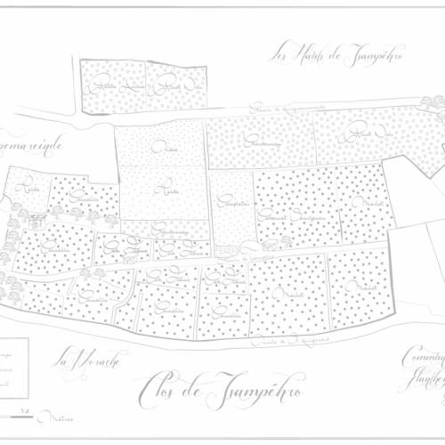 Clos de Tsampéhro, Walliser Winzer (08 – 15.12.20)
