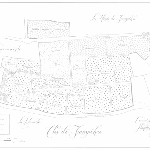 Clos de Tsampéhro, Vigneron en Valais, (08 – 15.12.20)