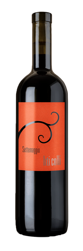 wiine Settemaggio_Irti Colli merlot