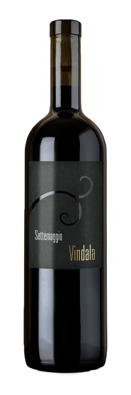 Wiine Settemaggio_Vindala Merlot, Marselan, Caminoir