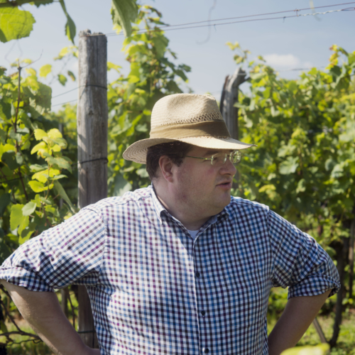 Patrick Thalmann, vigneron à Zürich (2 – 9 .03.21)