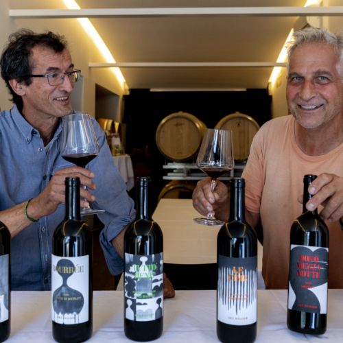 Urs Hauser, vigneron au Tessin (30.03 – 06.04.21)