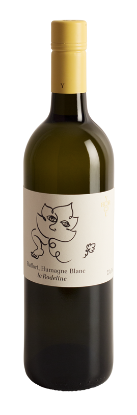 Humagne Blanc