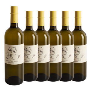 RODELINE – PAÏEN/HEIDA