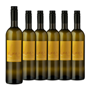 UMBRICHT – CHARDONNAY
