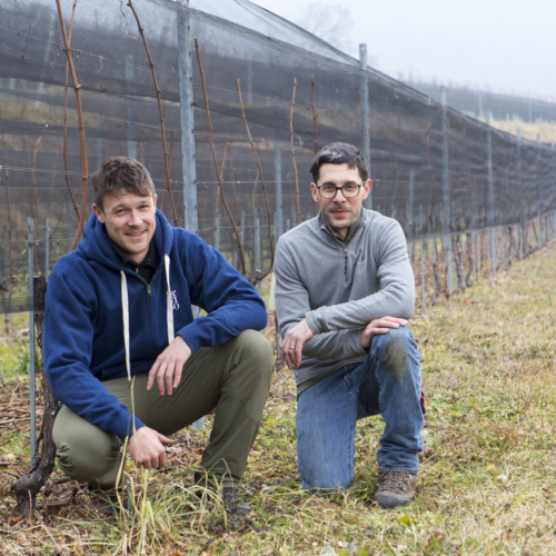 Fawino, vignerons au Tessin (02 – 09.11.21)